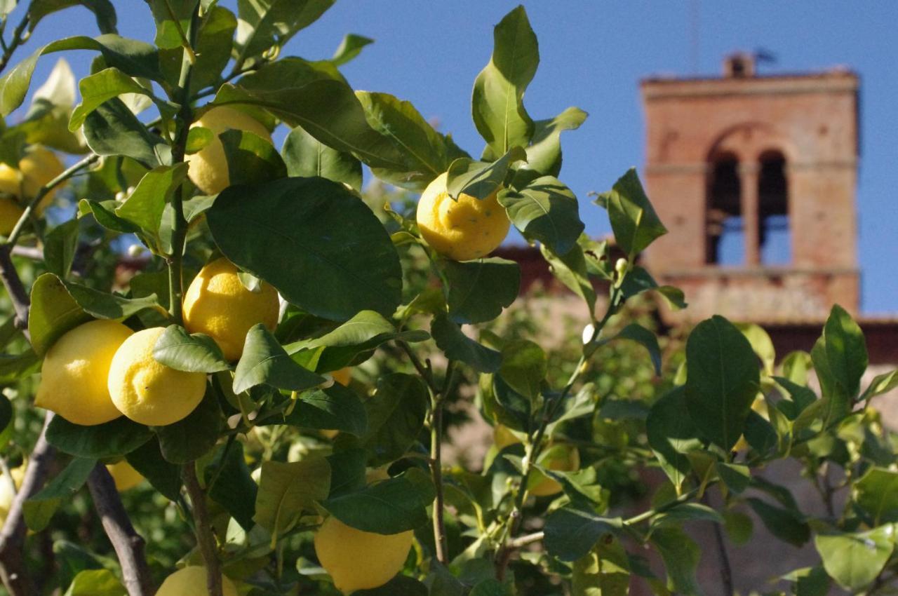 Vila Monastero Sant'Anna In Camprena Pienza Exteriér fotografie